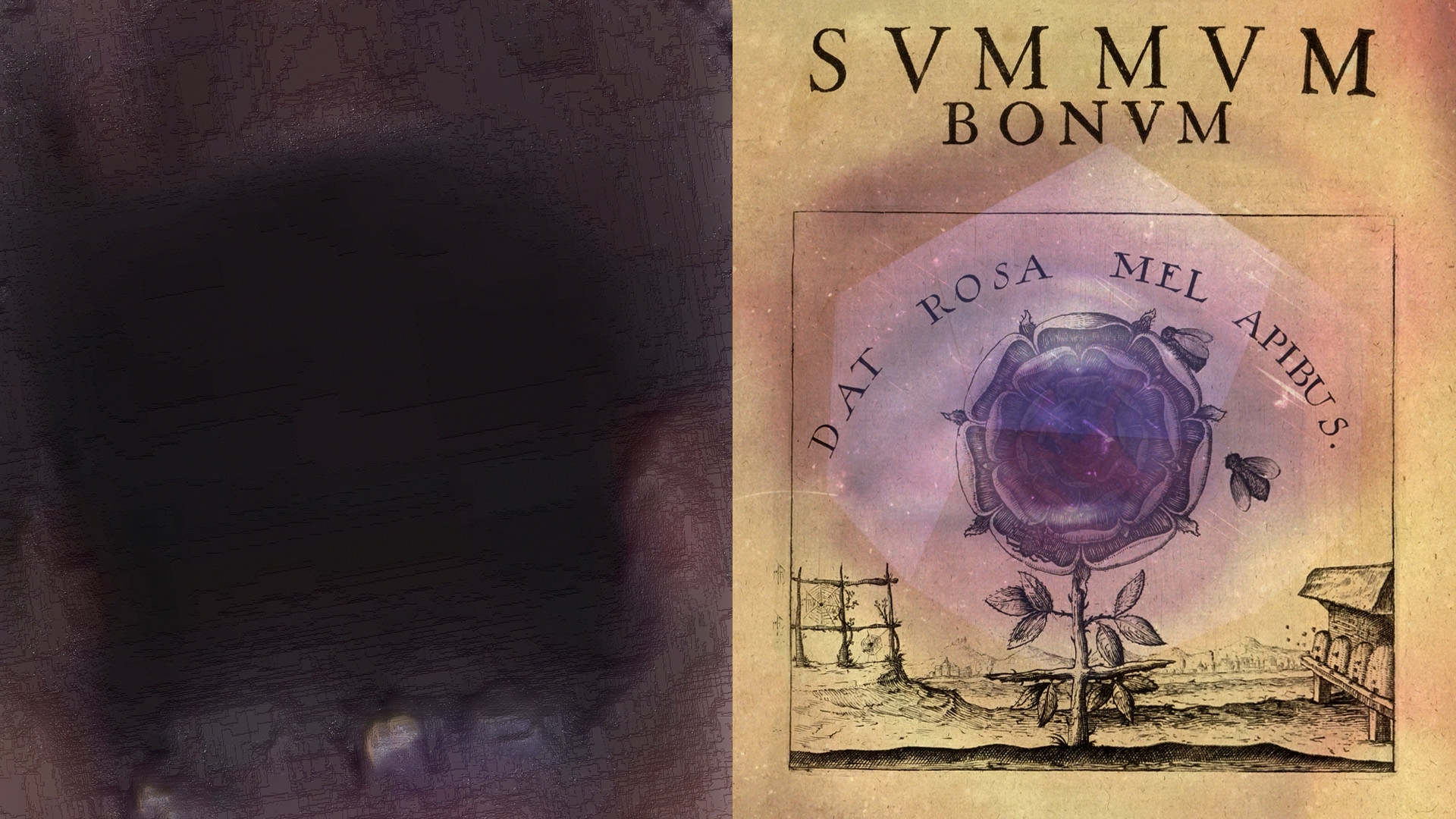 da-kino-der-chora-summum-bonum Das Kino der Chora