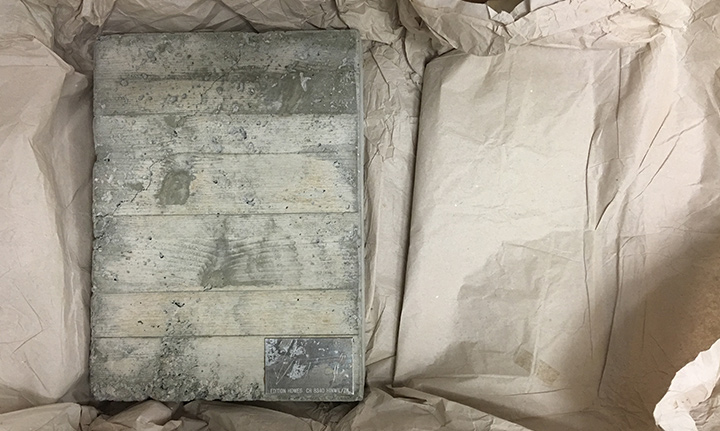 Was können wir mit Gewissheit nicht wissen?